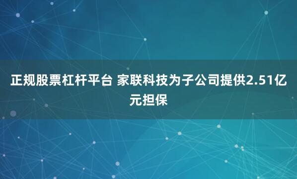 正规股票杠杆平台 家联科技为子公司提供2.51亿元担保
