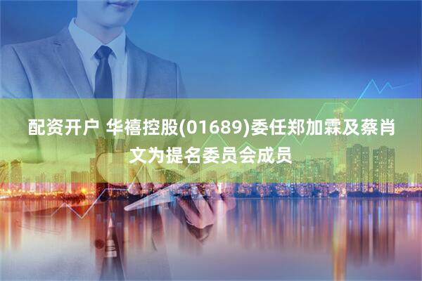 配资开户 华禧控股(01689)委任郑加霖及蔡肖文为提名委员会成员