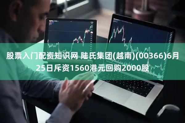 股票入门配资知识网 陆氏集团(越南)(00366)6月25日斥资1560港元回购2000股