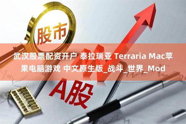 武汉股票配资开户 泰拉瑞亚 Terraria Mac苹果电脑游戏 中文原生版_战斗_世界_Mod