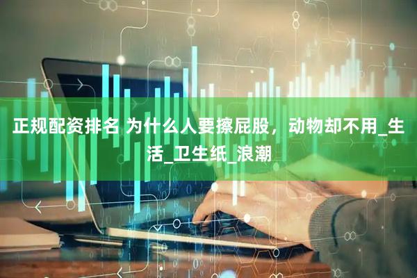 正规配资排名 为什么人要擦屁股，动物却不用_生活_卫生纸_浪潮