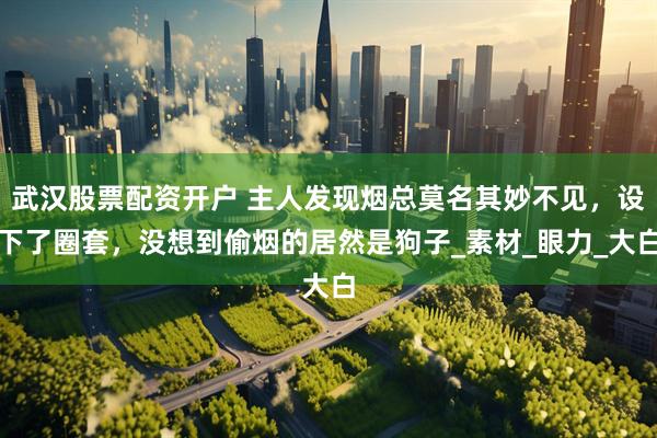 武汉股票配资开户 主人发现烟总莫名其妙不见，设下了圈套，没想到偷烟的居然是狗子_素材_眼力_大白