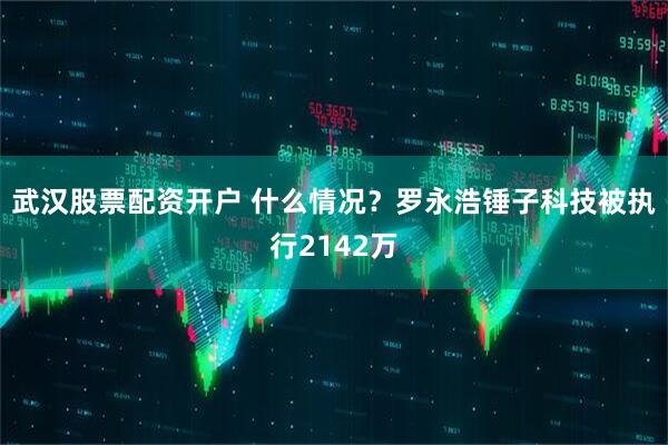 武汉股票配资开户 什么情况？罗永浩锤子科技被执行2142万